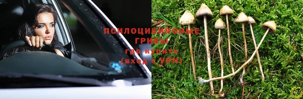 герыч Белокуриха