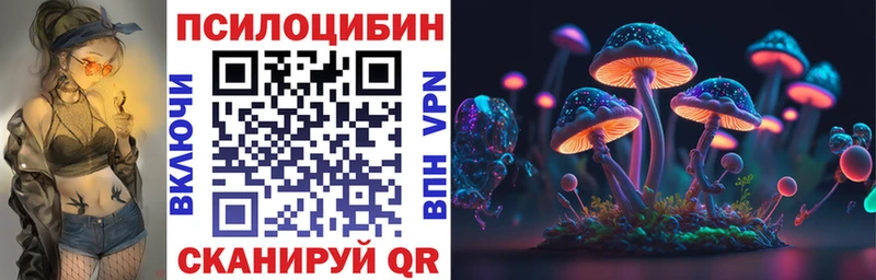 как найти наркотики  Белозерск  МЕГА вход  Галлюциногенные грибы мицелий 